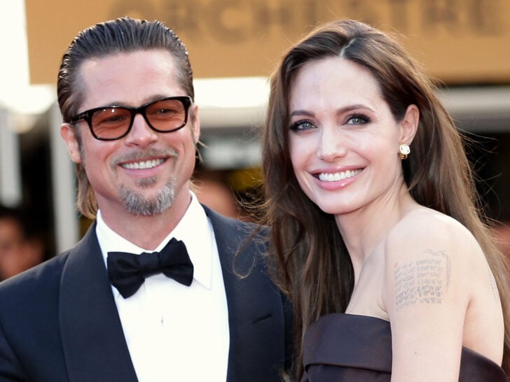Angelina Jolie ‘Not Surprised’ That Brad Pitt Is Drinking Again