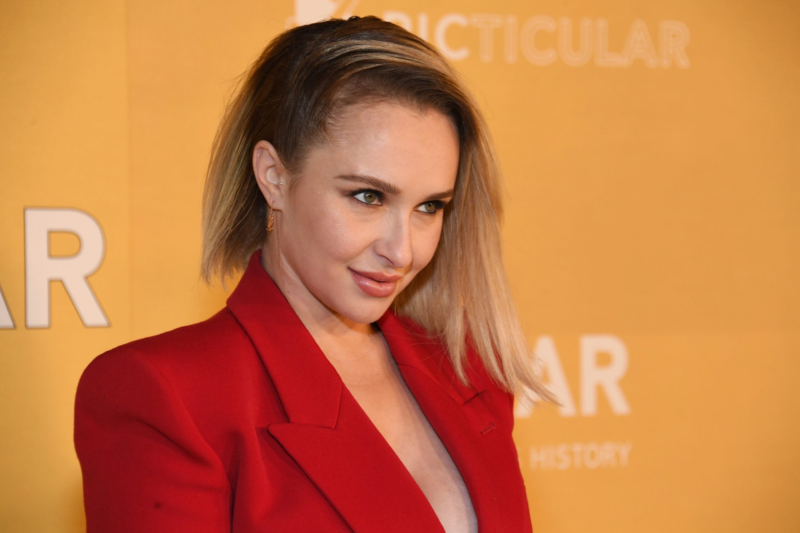 Brian Hickerson: Hayden Panettiere’s Controversial Boyfriend, Past Abuse Allegations Receive Renewed Scrutiny